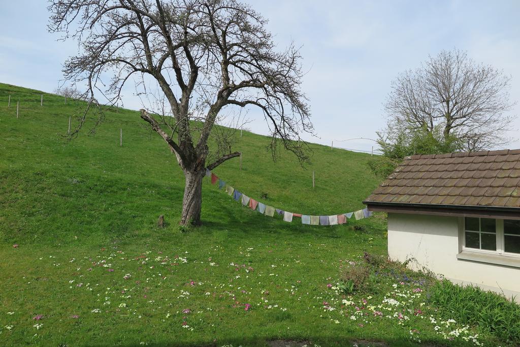 B&B Sigrid Braun-Budde Bettingen Esterno foto